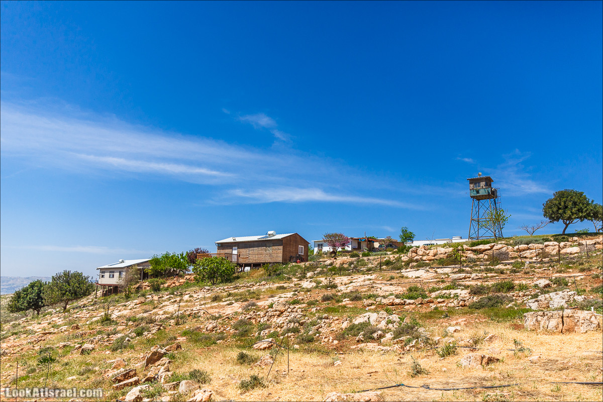 Гора Кабир и цветение самарийского ириса | הר קביר ואירוס שומרוני | LookAtIsrael.com - Фото путешествия по Израилю