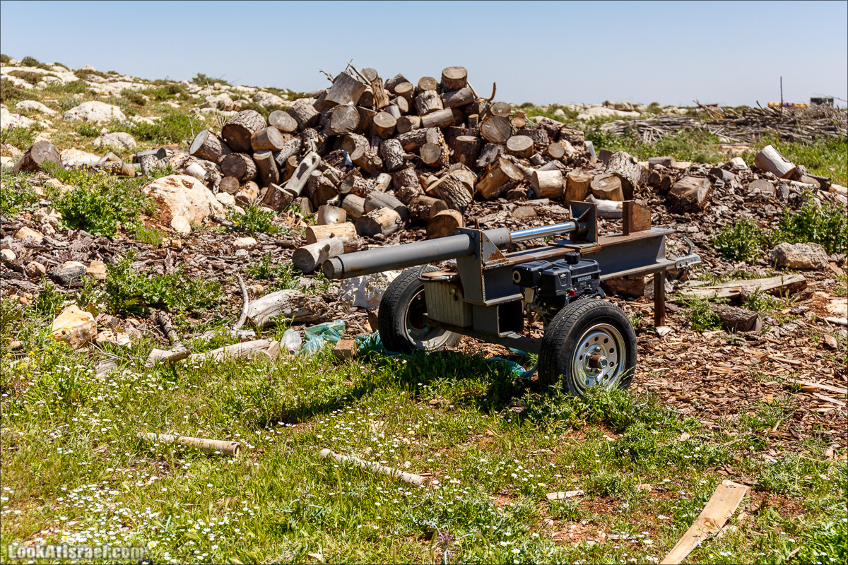Гора Кабир и цветение самарийского ириса | הר קביר ואירוס שומרוני | LookAtIsrael.com - Фото путешествия по Израилю