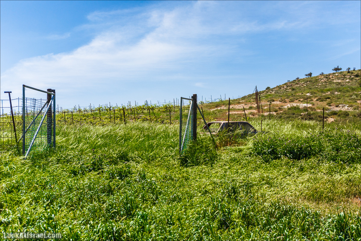 Гора Кабир и цветение самарийского ириса | הר קביר ואירוס שומרוני | LookAtIsrael.com - Фото путешествия по Израилю