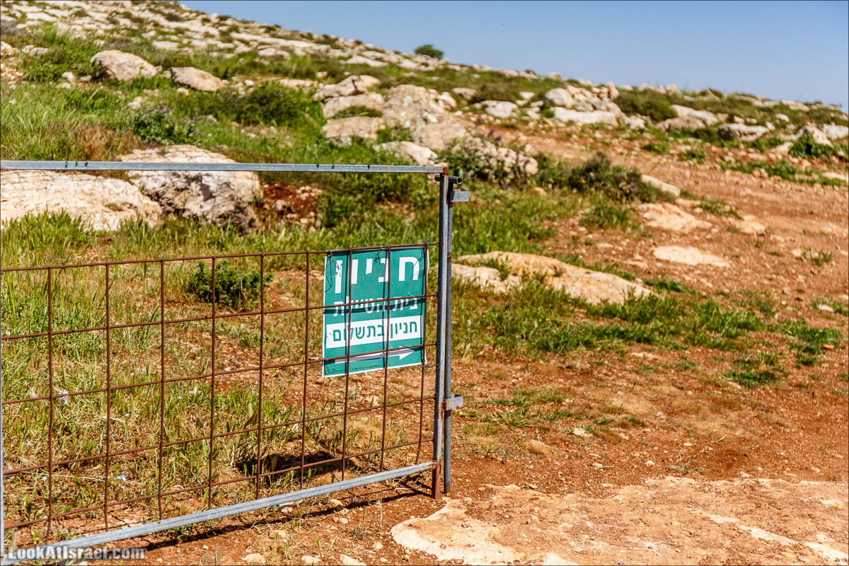 Гора Кабир и цветение самарийского ириса | הר קביר ואירוס שומרוני | LookAtIsrael.com - Фото путешествия по Израилю