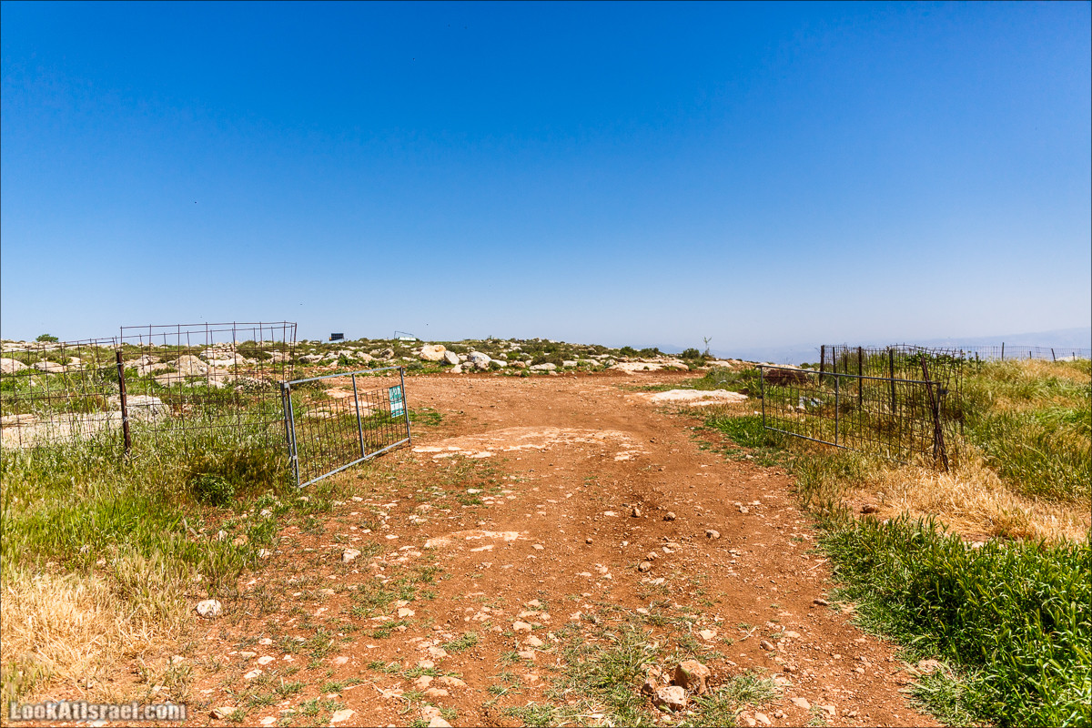 Гора Кабир и цветение самарийского ириса | הר קביר ואירוס שומרוני | LookAtIsrael.com - Фото путешествия по Израилю