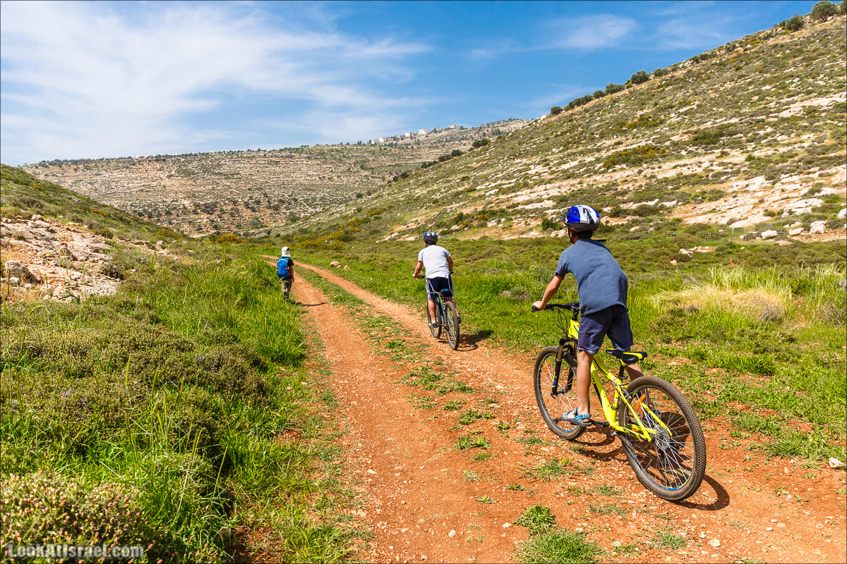 Гора Кабир и цветение самарийского ириса | הר קביר ואירוס שומרוני | LookAtIsrael.com - Фото путешествия по Израилю