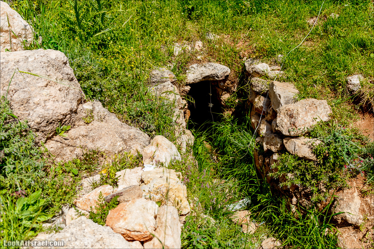 Гора Кабир и цветение самарийского ириса | הר קביר ואירוס שומרוני | LookAtIsrael.com - Фото путешествия по Израилю
