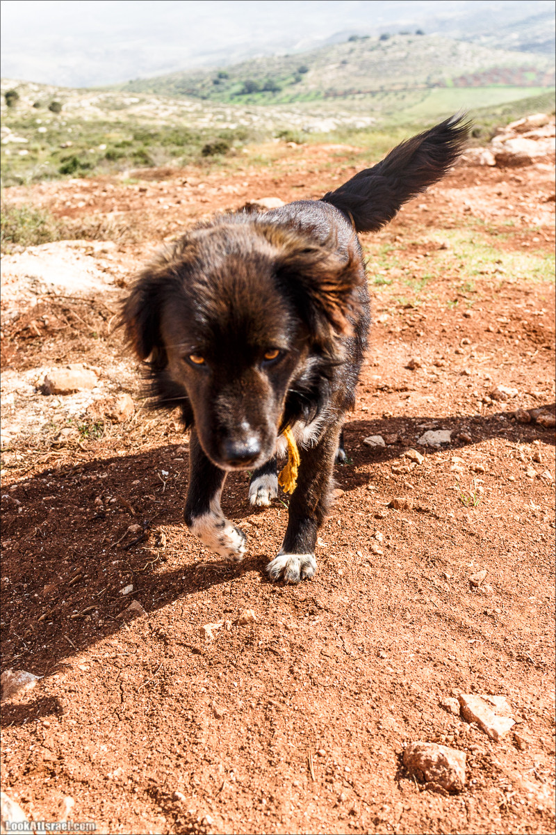 Первый дом на родине на высотке 777 в горах Самарии | LookAtIsrael.com - Фото путешествия по Израилю