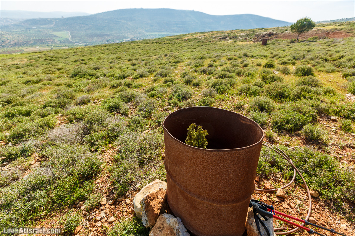 Первый дом на родине на высотке 777 в горах Самарии | LookAtIsrael.com - Фото путешествия по Израилю