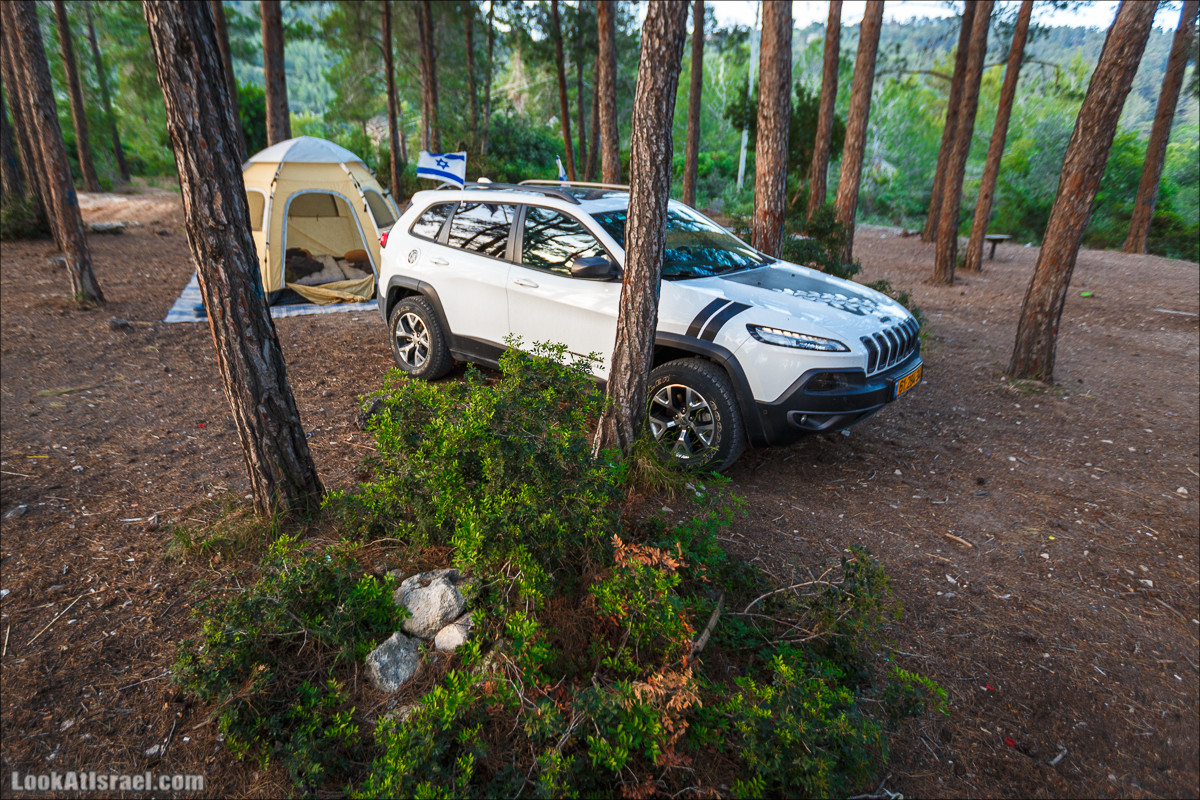 Из леса Ханита через пещеру Кешет и ручей Намер к ручьям Бецет и Серах | LookAtIsrael.com - Фото путешествия по Израилю