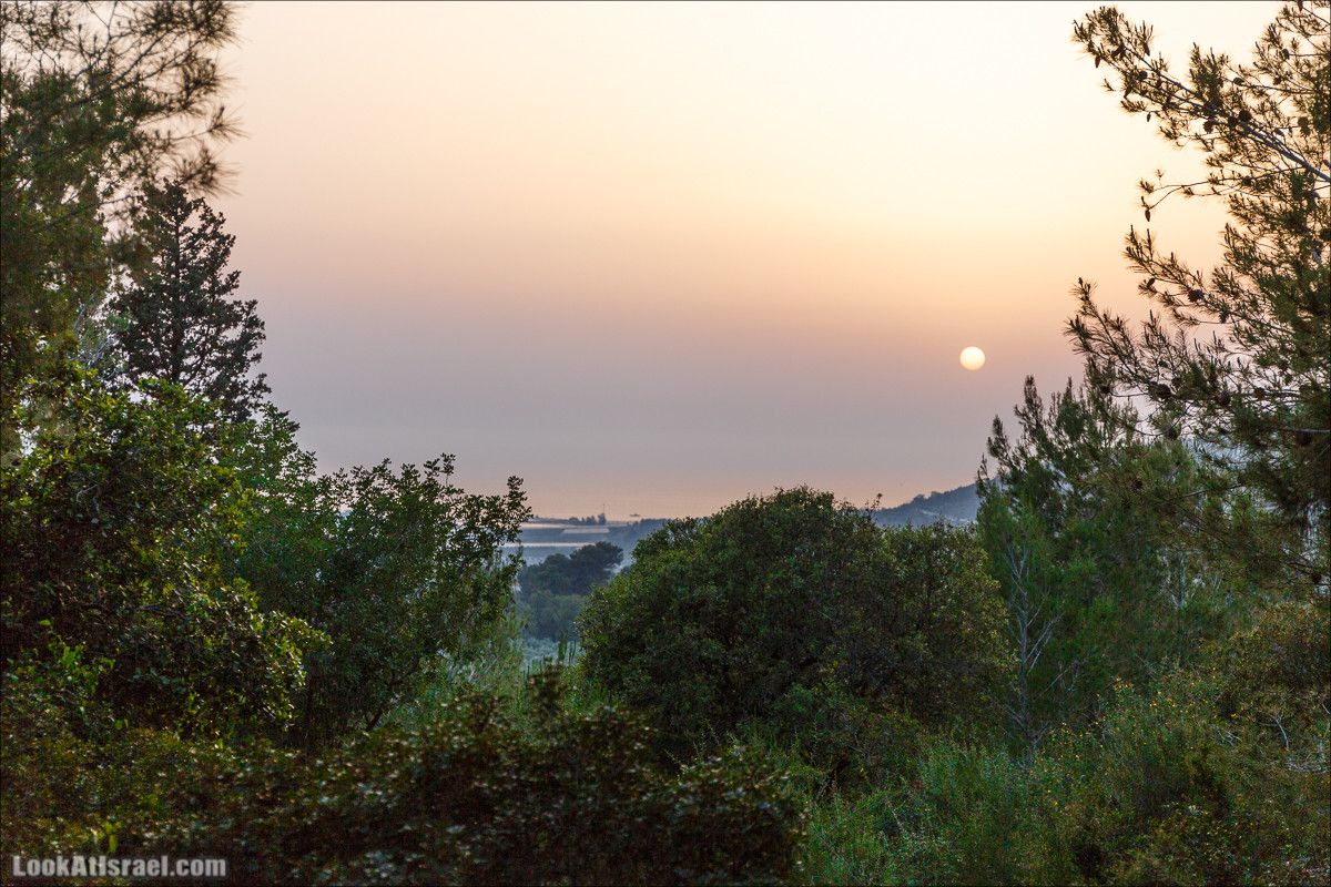 Из леса Ханита через пещеру Кешет и ручей Намер к ручьям Бецет и Серах | LookAtIsrael.com - Фото путешествия по Израилю