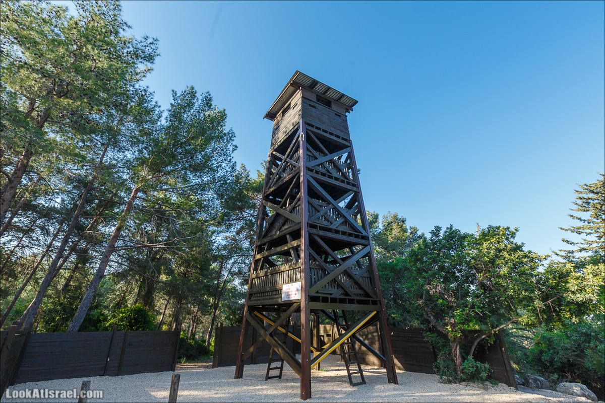 Из леса Ханита через пещеру Кешет и ручей Намер к ручьям Бецет и Серах | LookAtIsrael.com - Фото путешествия по Израилю