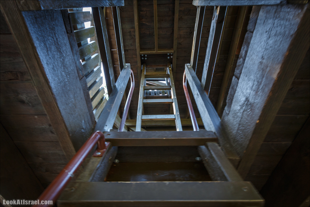 Из леса Ханита через пещеру Кешет и ручей Намер к ручьям Бецет и Серах | LookAtIsrael.com - Фото путешествия по Израилю