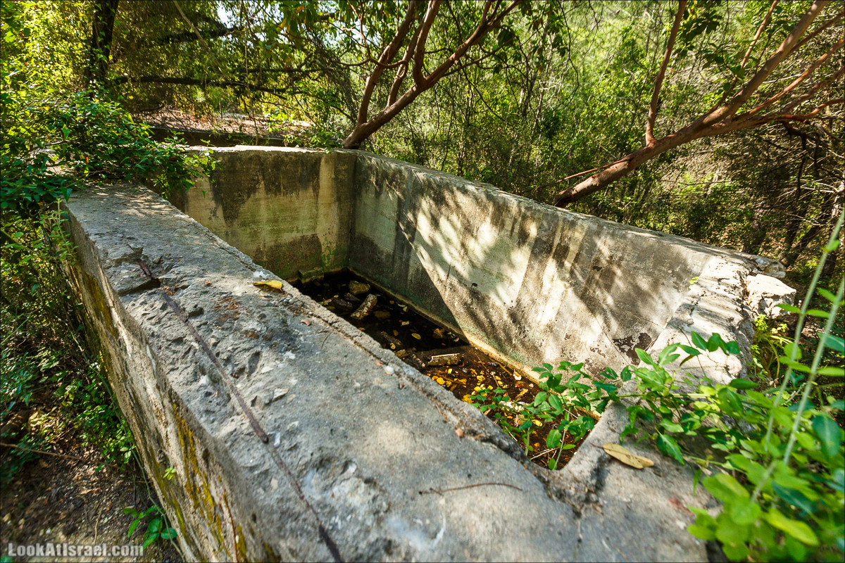 Из леса Ханита через пещеру Кешет и ручей Намер к ручьям Бецет и Серах | LookAtIsrael.com - Фото путешествия по Израилю