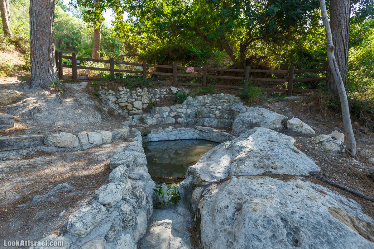 Из леса Ханита через пещеру Кешет и ручей Намер к ручьям Бецет и Серах | LookAtIsrael.com - Фото путешествия по Израилю