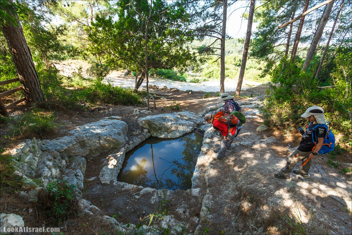 Из леса Ханита через пещеру Кешет и ручей Намер к ручьям Бецет и Серах | LookAtIsrael.com - Фото путешествия по Израилю