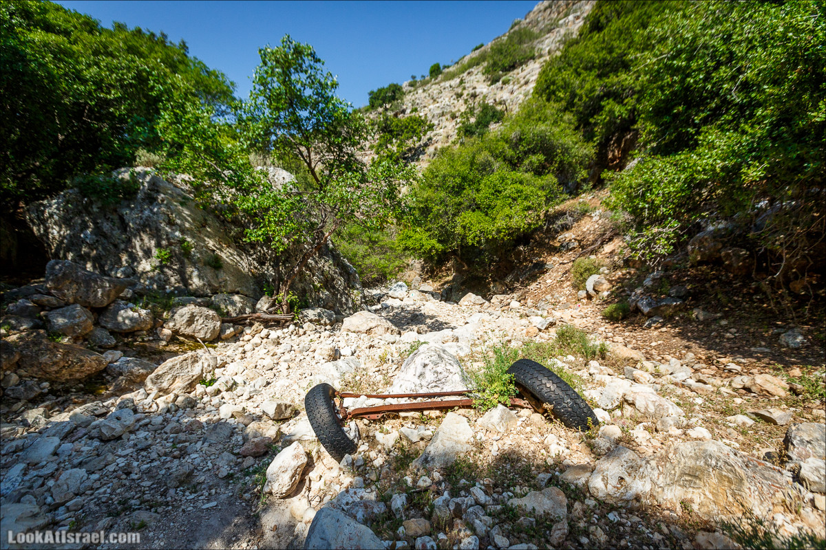 Из леса Ханита через пещеру Кешет и ручей Намер к ручьям Бецет и Серах | LookAtIsrael.com - Фото путешествия по Израилю