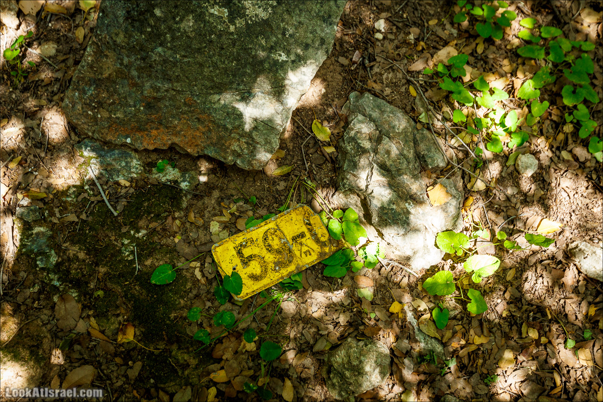 Из леса Ханита через пещеру Кешет и ручей Намер к ручьям Бецет и Серах | LookAtIsrael.com - Фото путешествия по Израилю