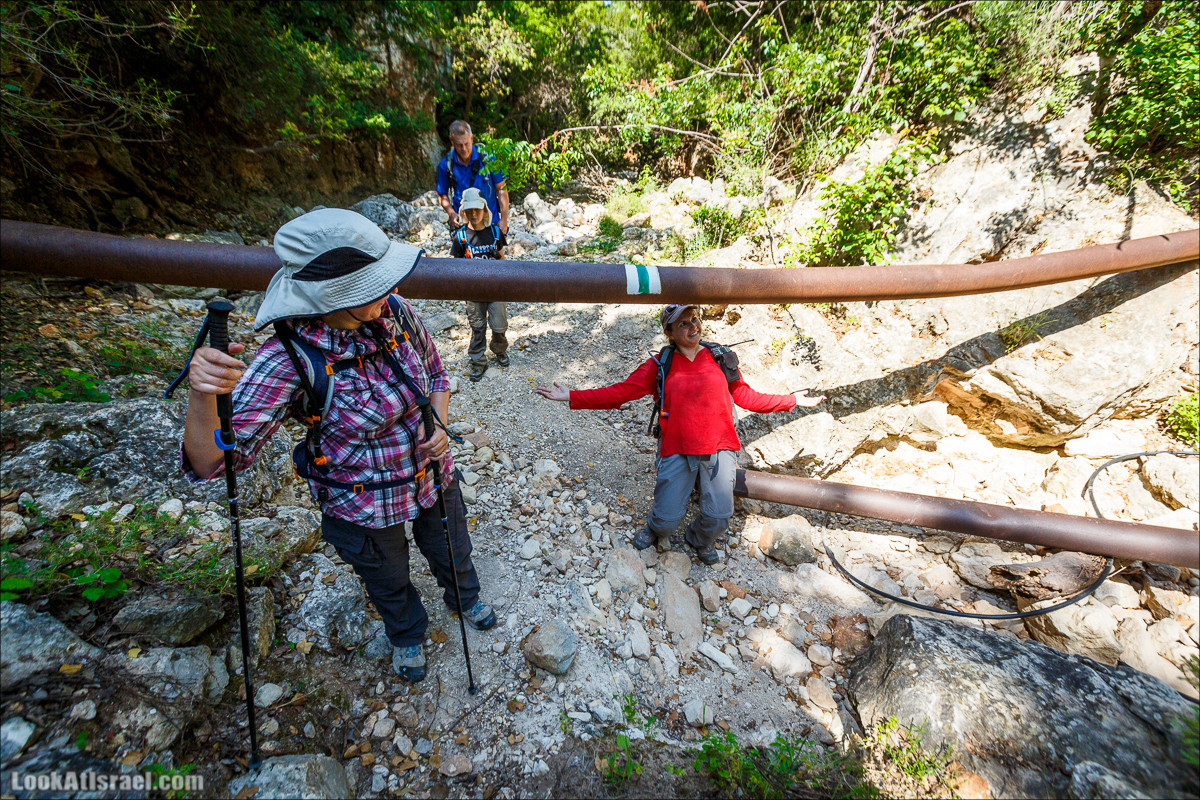 Из леса Ханита через пещеру Кешет и ручей Намер к ручьям Бецет и Серах | LookAtIsrael.com - Фото путешествия по Израилю