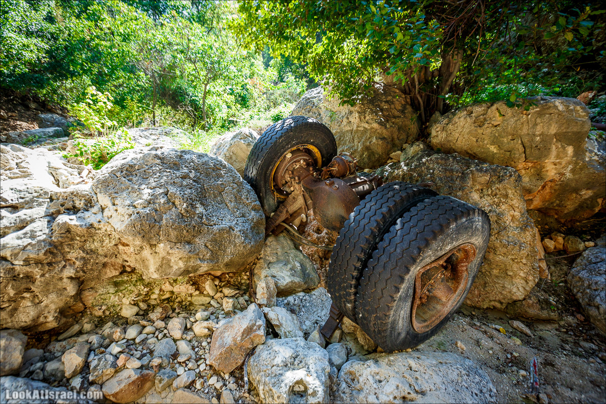 Из леса Ханита через пещеру Кешет и ручей Намер к ручьям Бецет и Серах | LookAtIsrael.com - Фото путешествия по Израилю