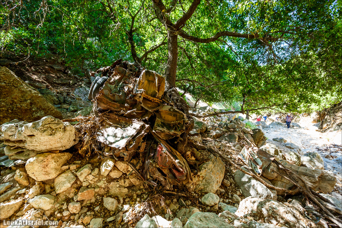 Из леса Ханита через пещеру Кешет и ручей Намер к ручьям Бецет и Серах | LookAtIsrael.com - Фото путешествия по Израилю