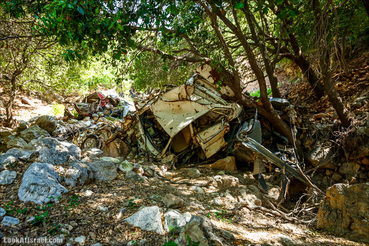 Из леса Ханита через пещеру Кешет и ручей Намер к ручьям Бецет и Серах | LookAtIsrael.com - Фото путешествия по Израилю
