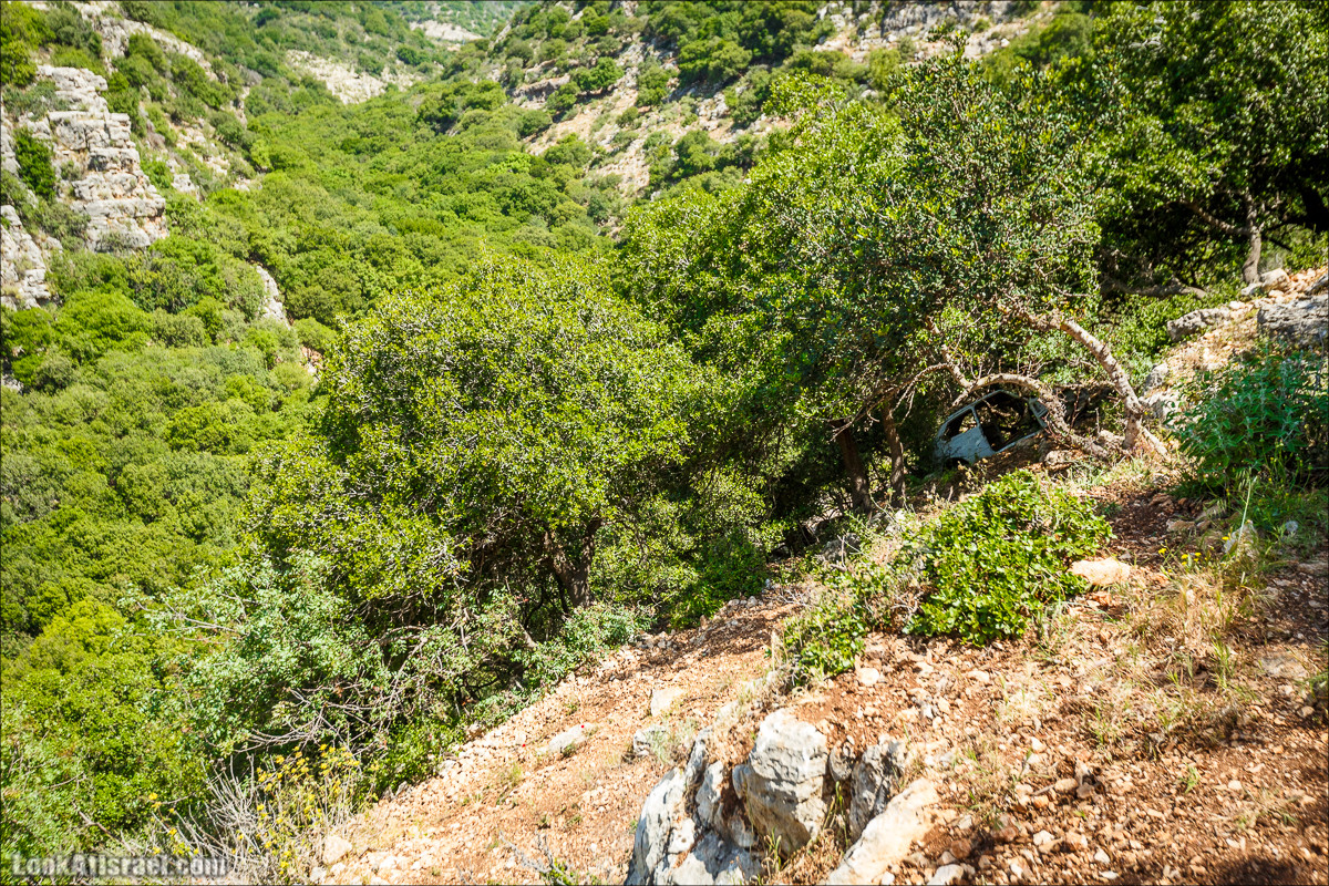 Из леса Ханита через пещеру Кешет и ручей Намер к ручьям Бецет и Серах | LookAtIsrael.com - Фото путешествия по Израилю