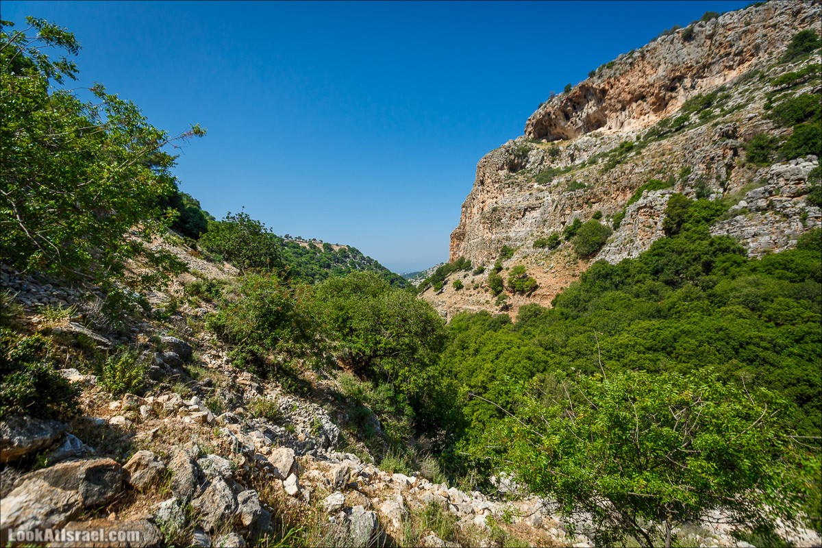 Из леса Ханита через пещеру Кешет и ручей Намер к ручьям Бецет и Серах | LookAtIsrael.com - Фото путешествия по Израилю