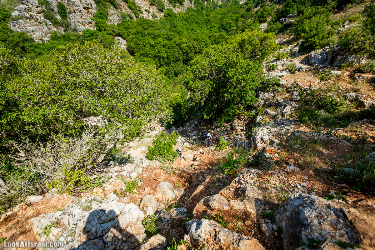 Из леса Ханита через пещеру Кешет и ручей Намер к ручьям Бецет и Серах | LookAtIsrael.com - Фото путешествия по Израилю