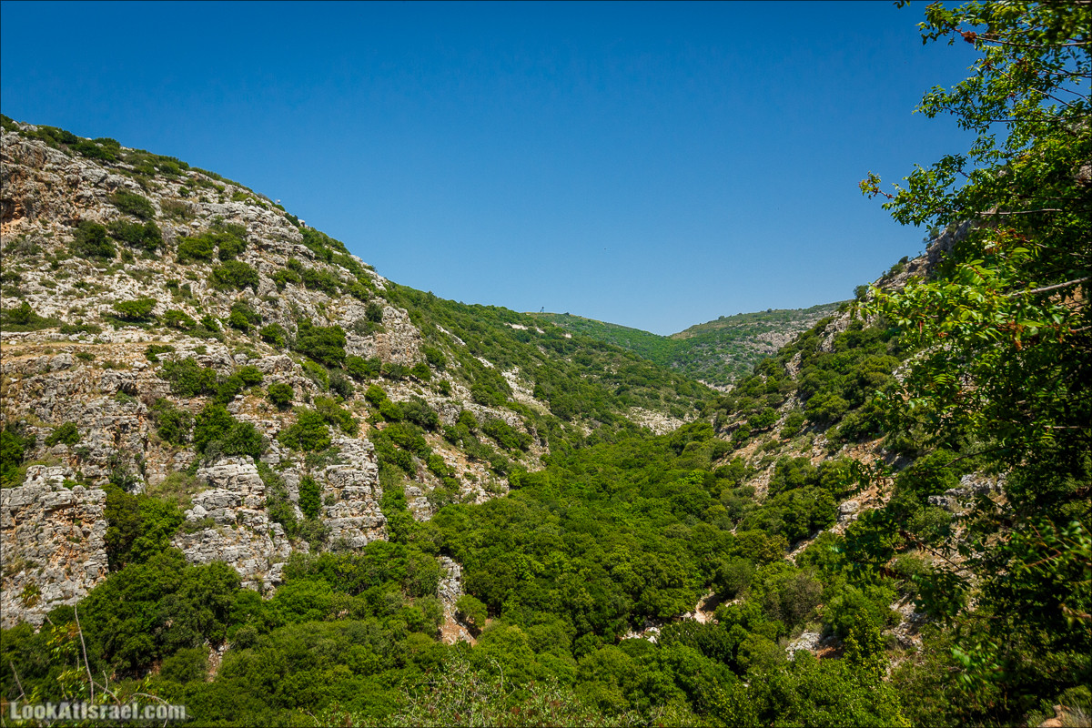 Из леса Ханита через пещеру Кешет и ручей Намер к ручьям Бецет и Серах | LookAtIsrael.com - Фото путешествия по Израилю