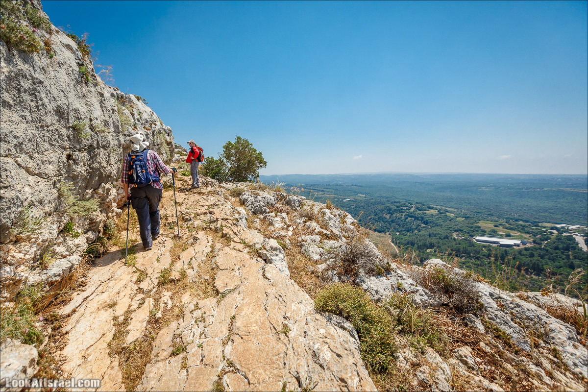 Из леса Ханита через пещеру Кешет и ручей Намер к ручьям Бецет и Серах | LookAtIsrael.com - Фото путешествия по Израилю