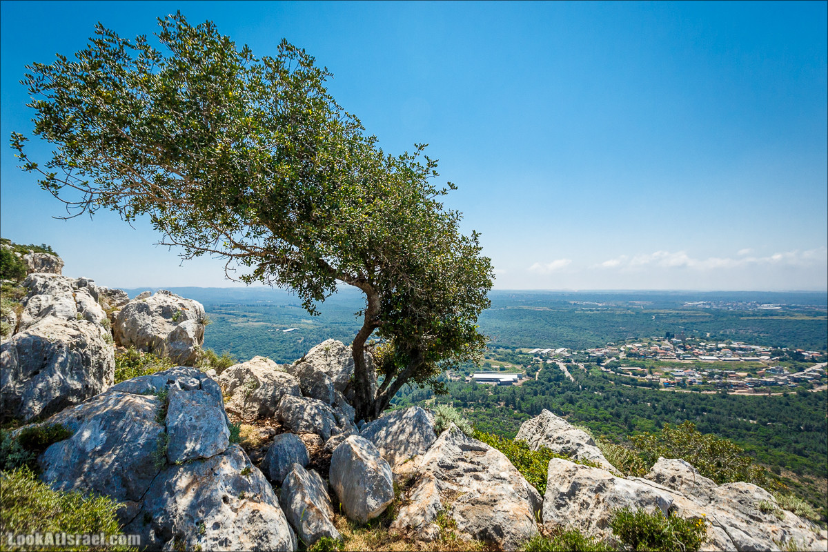 Из леса Ханита через пещеру Кешет и ручей Намер к ручьям Бецет и Серах | LookAtIsrael.com - Фото путешествия по Израилю