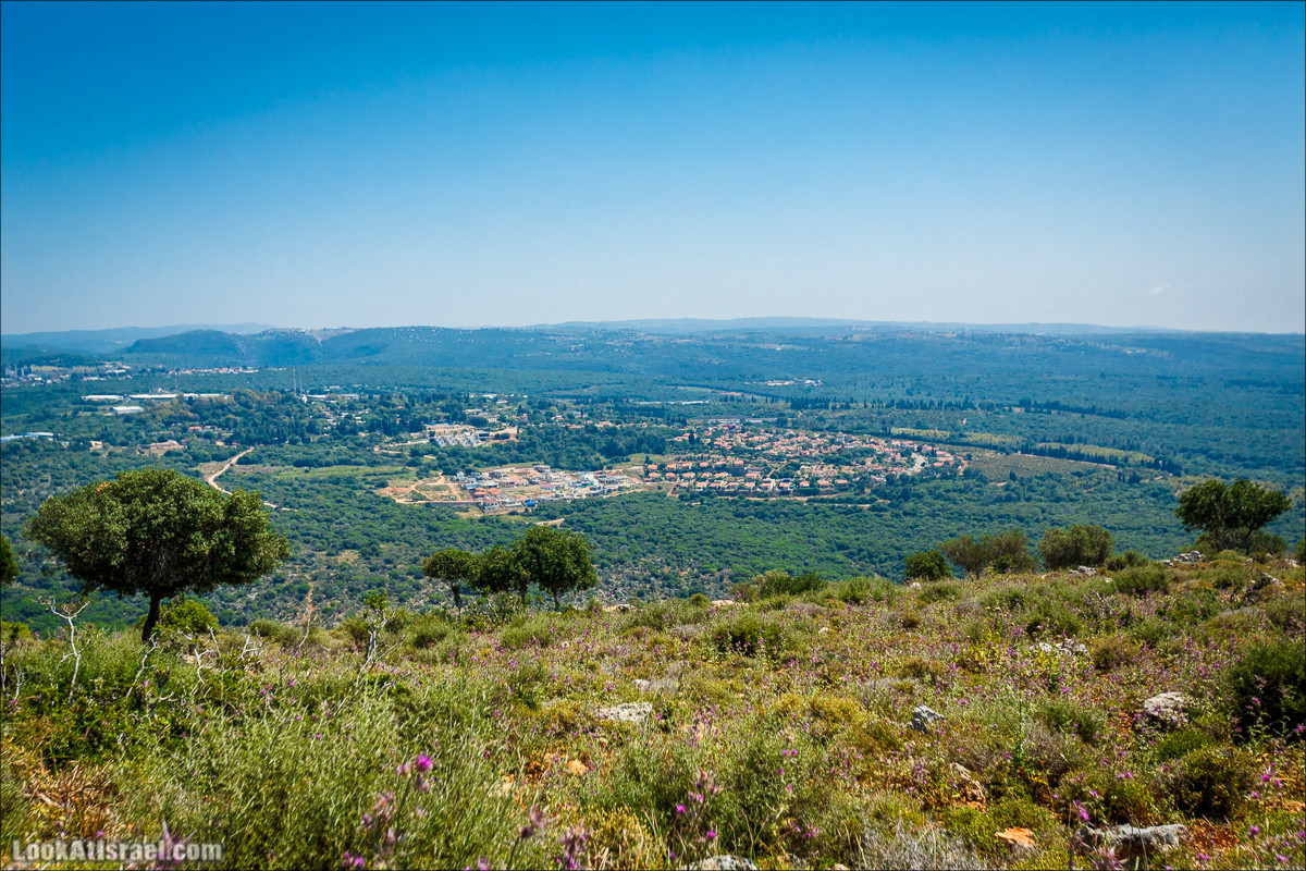 Из леса Ханита через пещеру Кешет и ручей Намер к ручьям Бецет и Серах | LookAtIsrael.com - Фото путешествия по Израилю