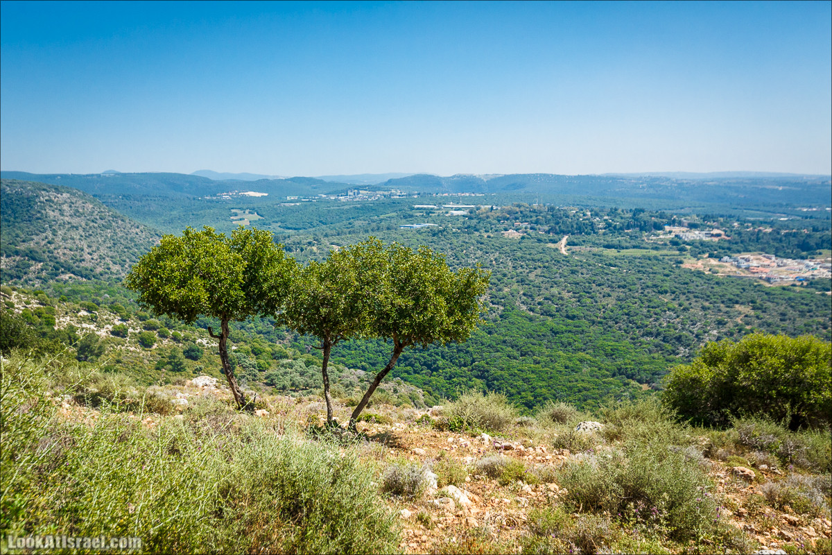 Из леса Ханита через пещеру Кешет и ручей Намер к ручьям Бецет и Серах | LookAtIsrael.com - Фото путешествия по Израилю