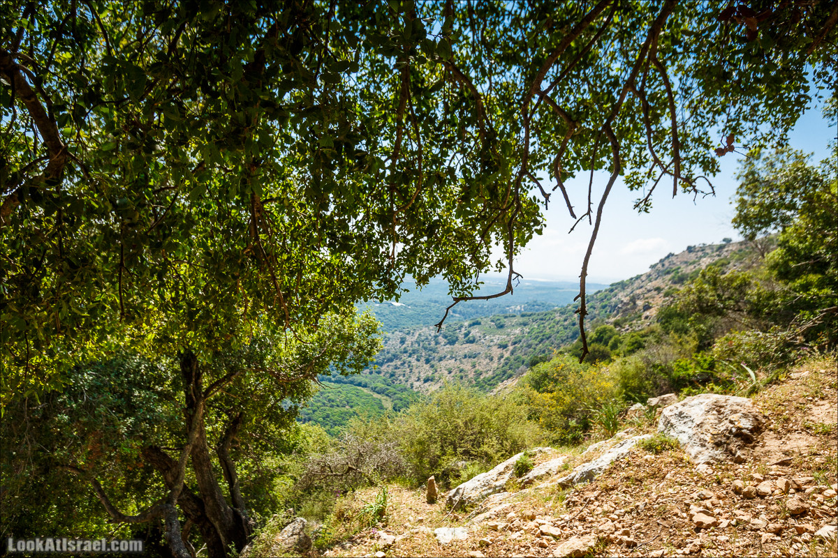 Из леса Ханита через пещеру Кешет и ручей Намер к ручьям Бецет и Серах | LookAtIsrael.com - Фото путешествия по Израилю
