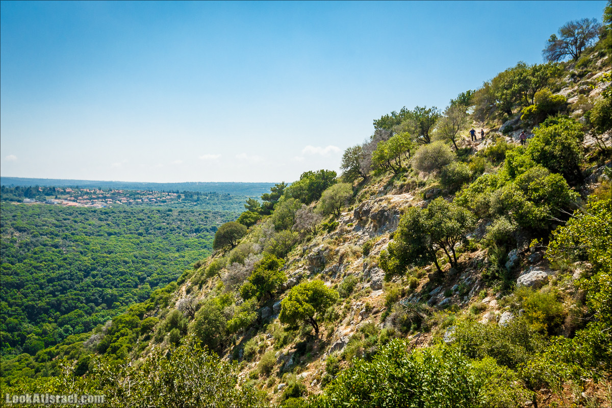 Из леса Ханита через пещеру Кешет и ручей Намер к ручьям Бецет и Серах | LookAtIsrael.com - Фото путешествия по Израилю