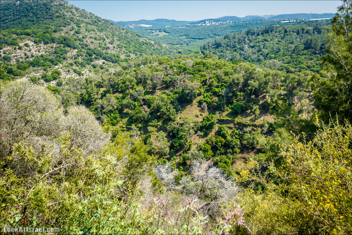 Из леса Ханита через пещеру Кешет и ручей Намер к ручьям Бецет и Серах | LookAtIsrael.com - Фото путешествия по Израилю
