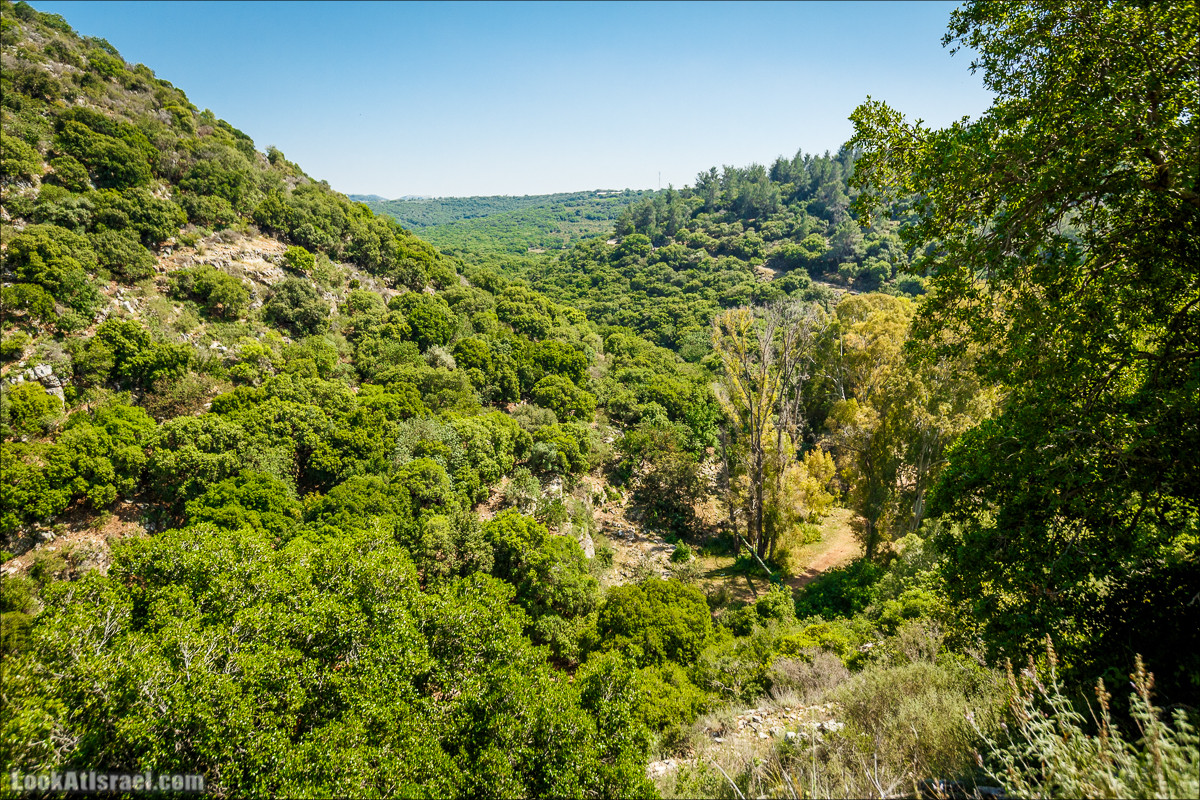 Из леса Ханита через пещеру Кешет и ручей Намер к ручьям Бецет и Серах | LookAtIsrael.com - Фото путешествия по Израилю