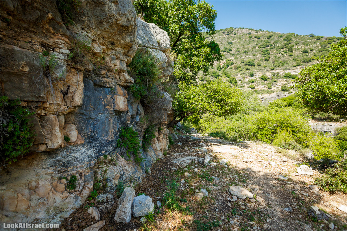 Из леса Ханита через пещеру Кешет и ручей Намер к ручьям Бецет и Серах | LookAtIsrael.com - Фото путешествия по Израилю