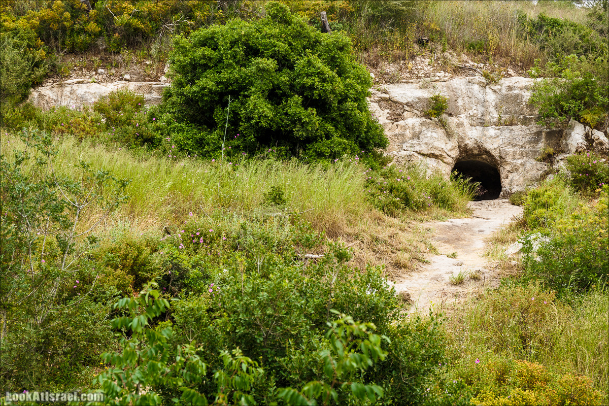 Ручей Орен и пещера Эцба | LookAtIsrael.com - Фото путешествия по Израилю