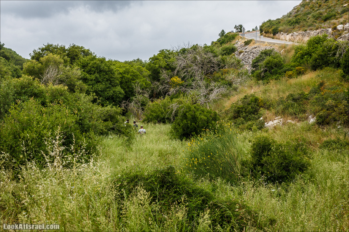 Ручей Орен и пещера Эцба | LookAtIsrael.com - Фото путешествия по Израилю