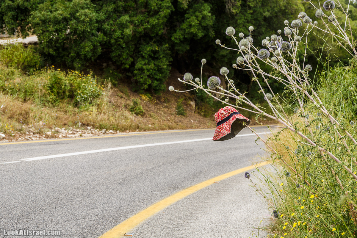 Ручей Орен и пещера Эцба | LookAtIsrael.com - Фото путешествия по Израилю