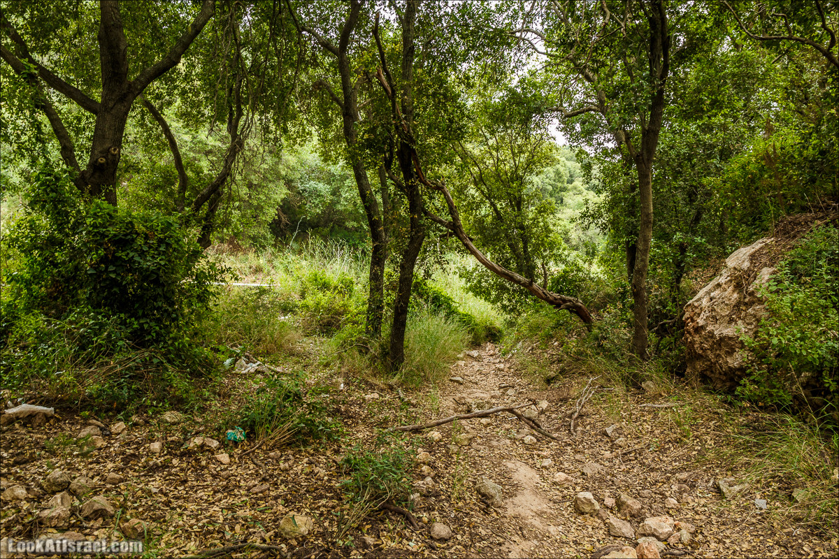 Ручей Орен и пещера Эцба | LookAtIsrael.com - Фото путешествия по Израилю