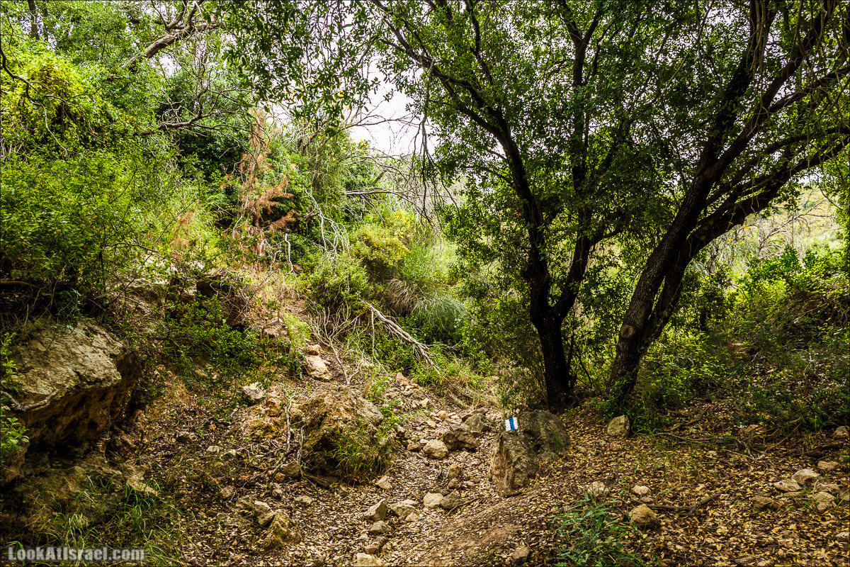 Ручей Орен и пещера Эцба | LookAtIsrael.com - Фото путешествия по Израилю