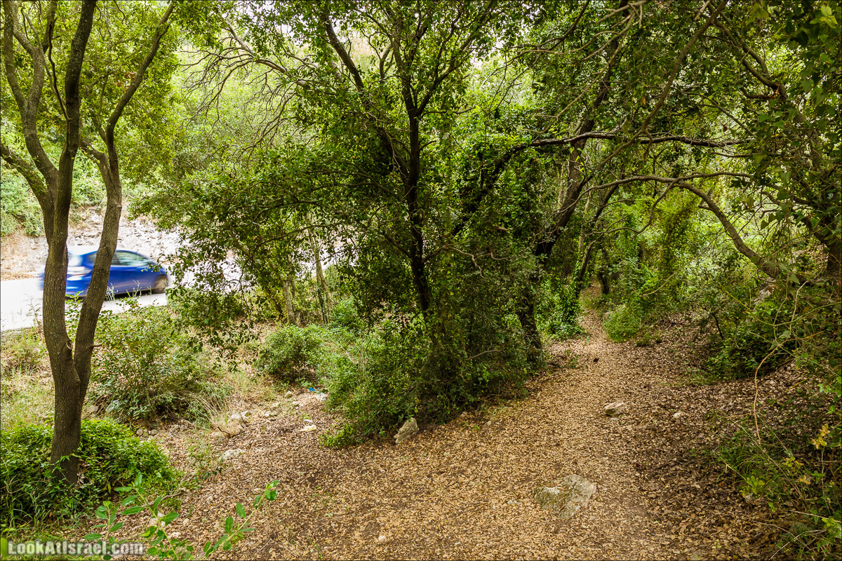 Ручей Орен и пещера Эцба | LookAtIsrael.com - Фото путешествия по Израилю