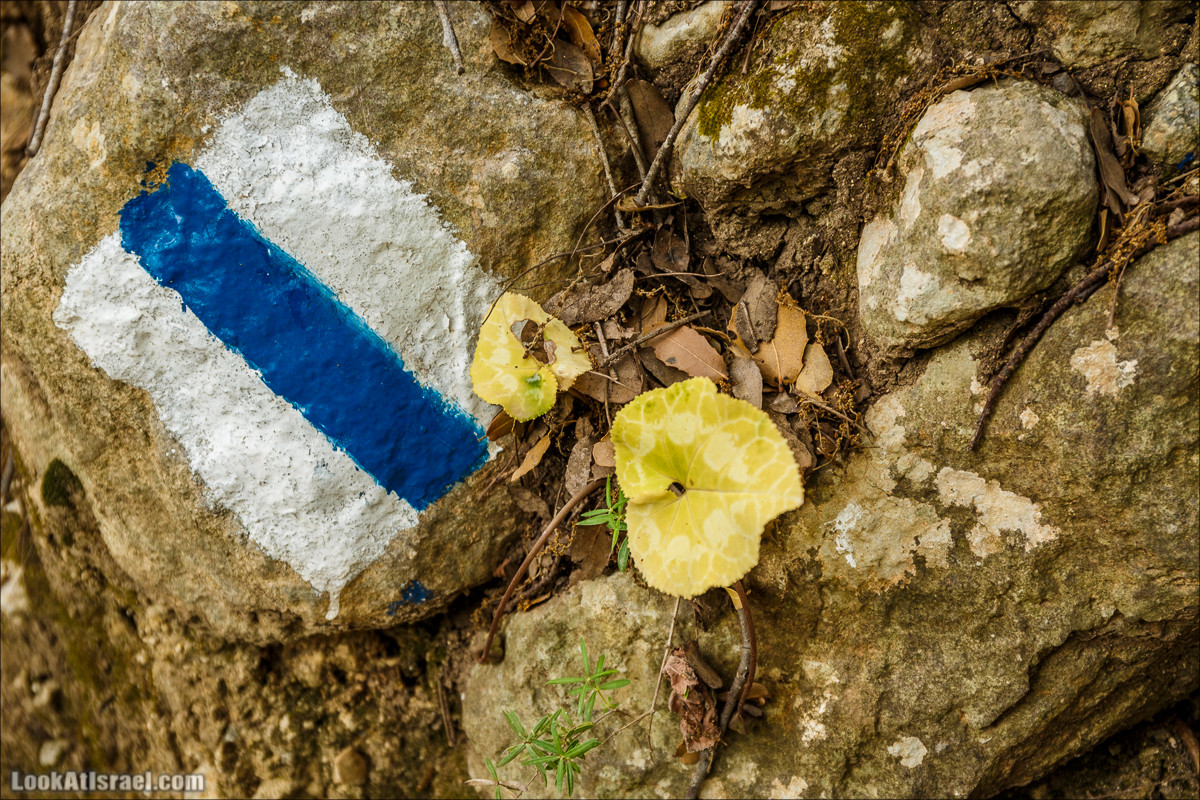 Ручей Орен и пещера Эцба | LookAtIsrael.com - Фото путешествия по Израилю