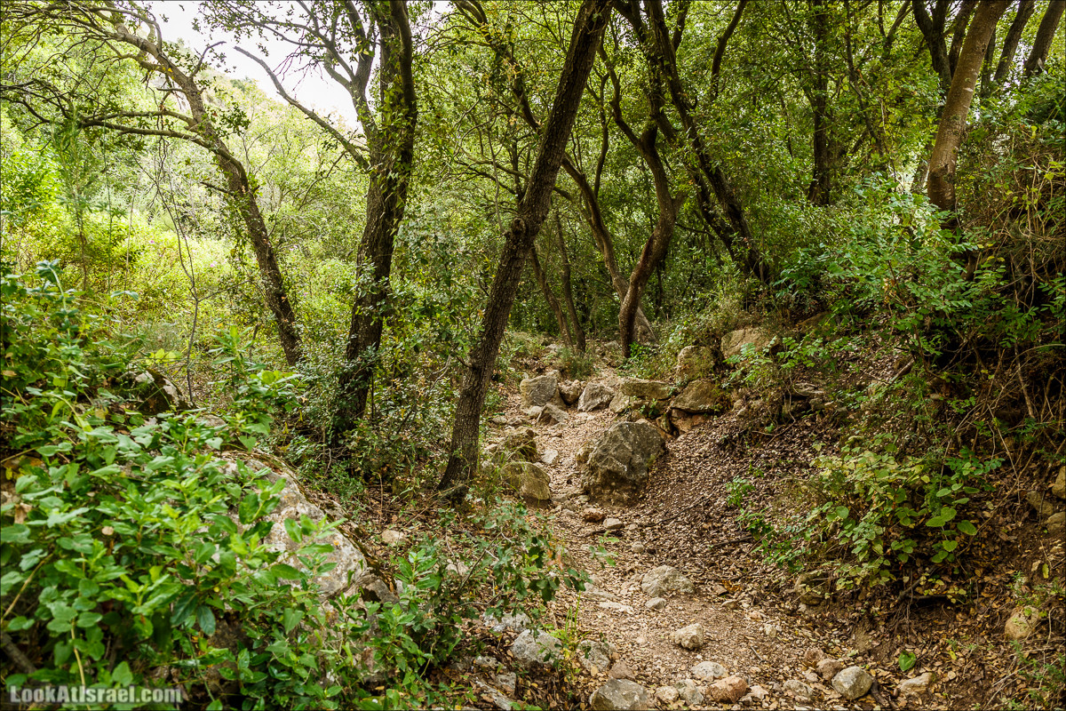 Ручей Орен и пещера Эцба | LookAtIsrael.com - Фото путешествия по Израилю