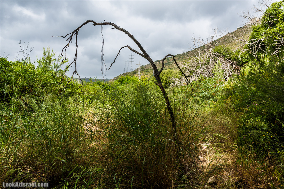 Ручей Орен и пещера Эцба | LookAtIsrael.com - Фото путешествия по Израилю