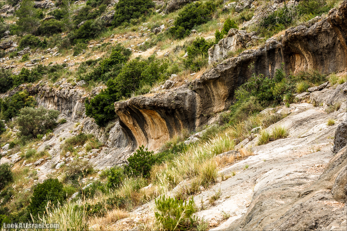 Ручей Орен и пещера Эцба | LookAtIsrael.com - Фото путешествия по Израилю
