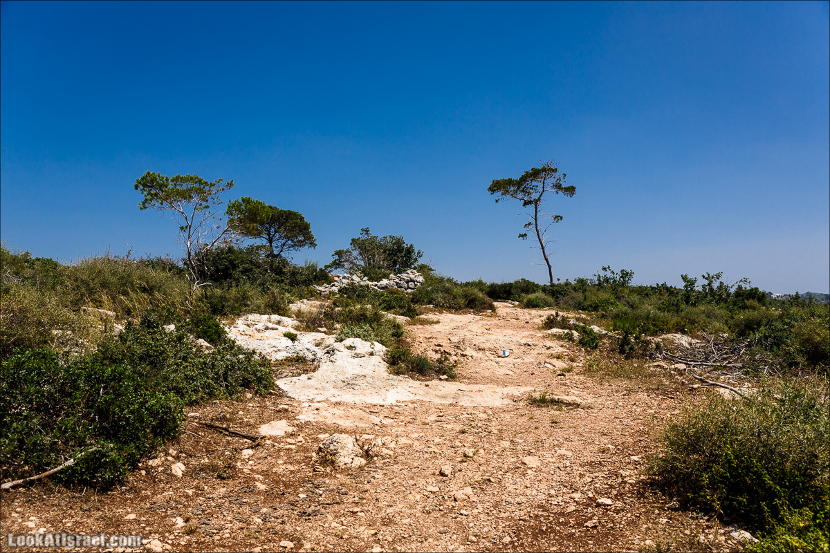 Ручей Орен и пещера Эцба | LookAtIsrael.com - Фото путешествия по Израилю