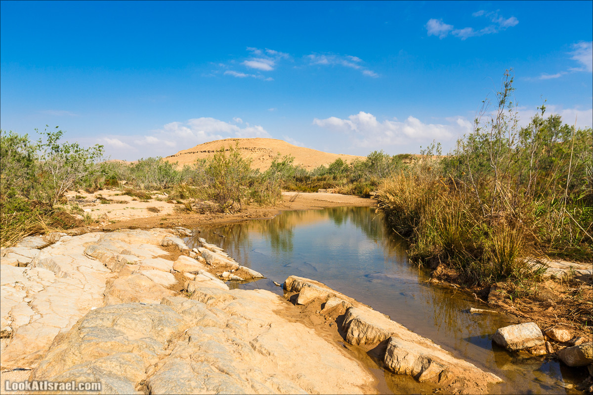 Гора Саароним, ручей Некарот и вода в ущелье Парсат Некарот | LookAtIsrael.com - Фото путешествия по Израилю