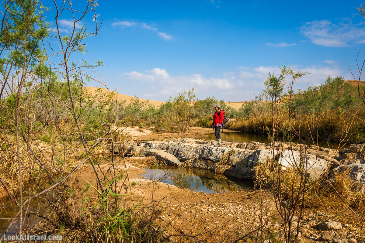 Гора Саароним, ручей Некарот и вода в ущелье Парсат Некарот | LookAtIsrael.com - Фото путешествия по Израилю