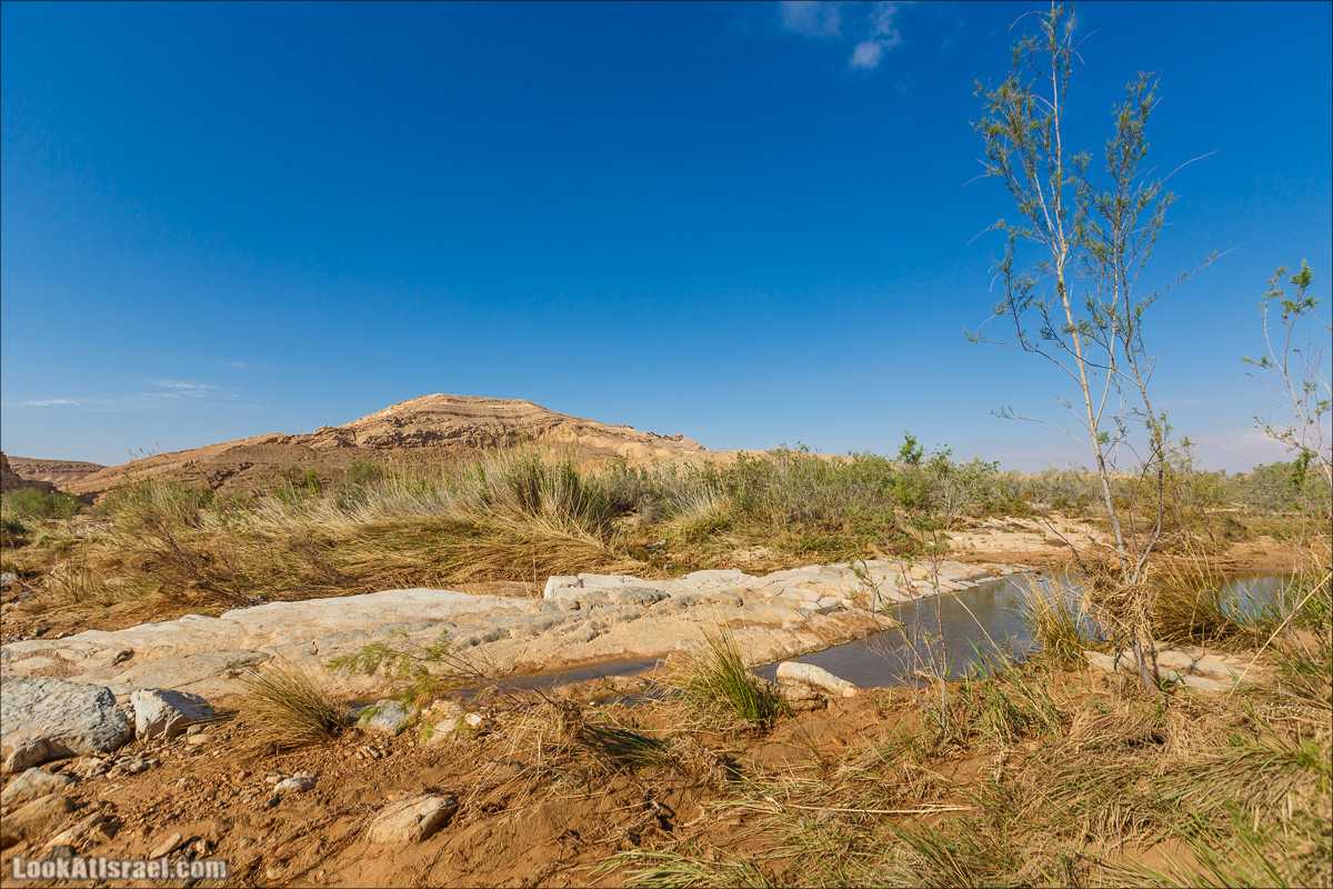 Гора Саароним, ручей Некарот и вода в ущелье Парсат Некарот | LookAtIsrael.com - Фото путешествия по Израилю