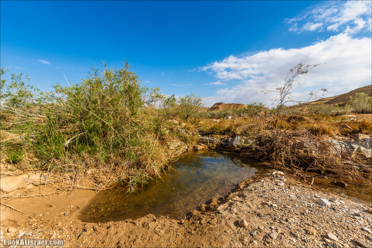 Гора Саароним, ручей Некарот и вода в ущелье Парсат Некарот | LookAtIsrael.com - Фото путешествия по Израилю